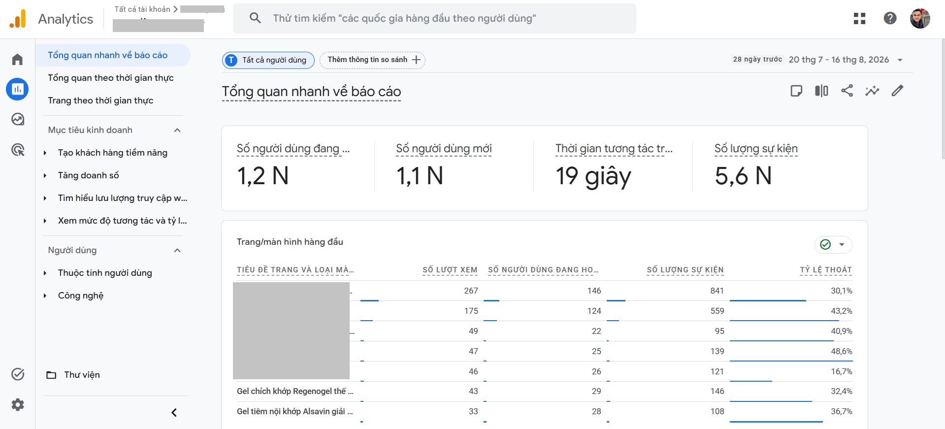 Báo cáo tổng quan Google Analytics